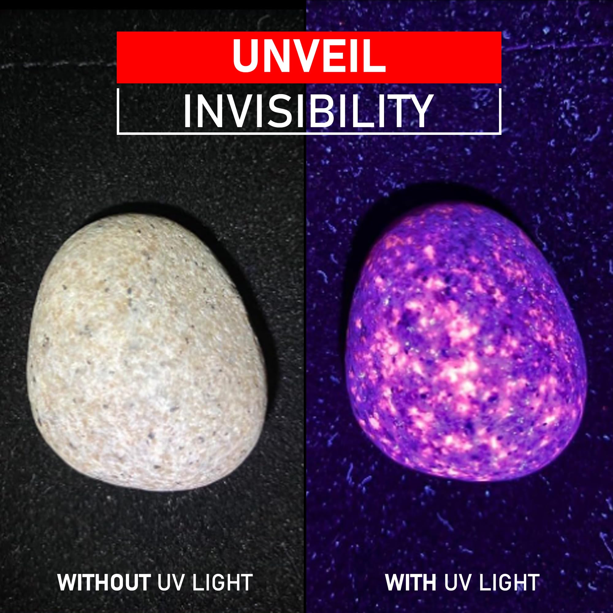 Fadomall Uv Flashlight 365Nm & 395Nm Ultraviolet Black Light Flashlights For Pet Urine Stains, Scorpions Detection, Zoomable Led Blacklights For Resin Curing, Uranium Glass, Gas Leak Inspection