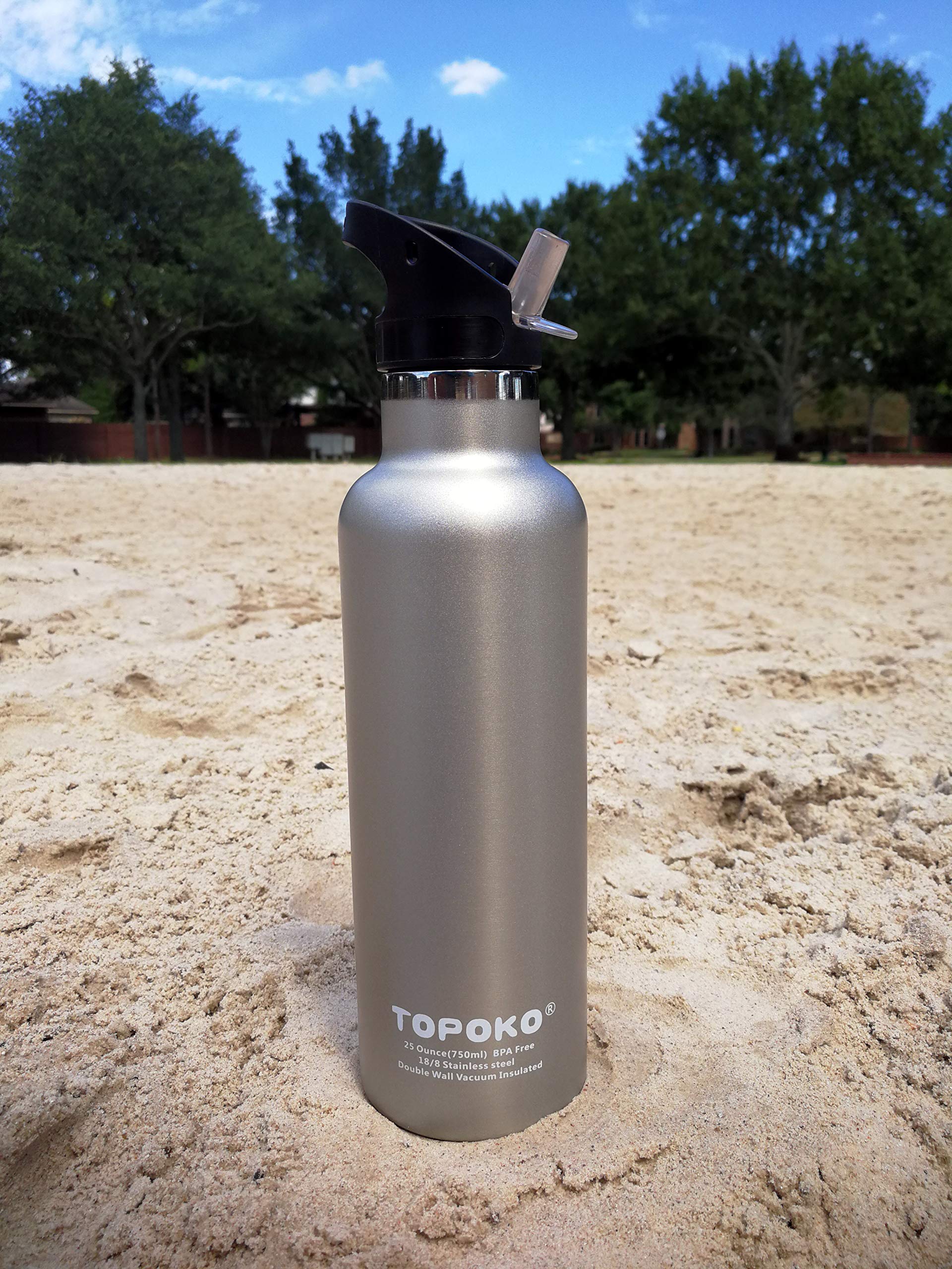 Topoko 25 Oz Double Wall Stainless Steel Water Bottle, Straw Lid With Handle, Vacuum Insulated