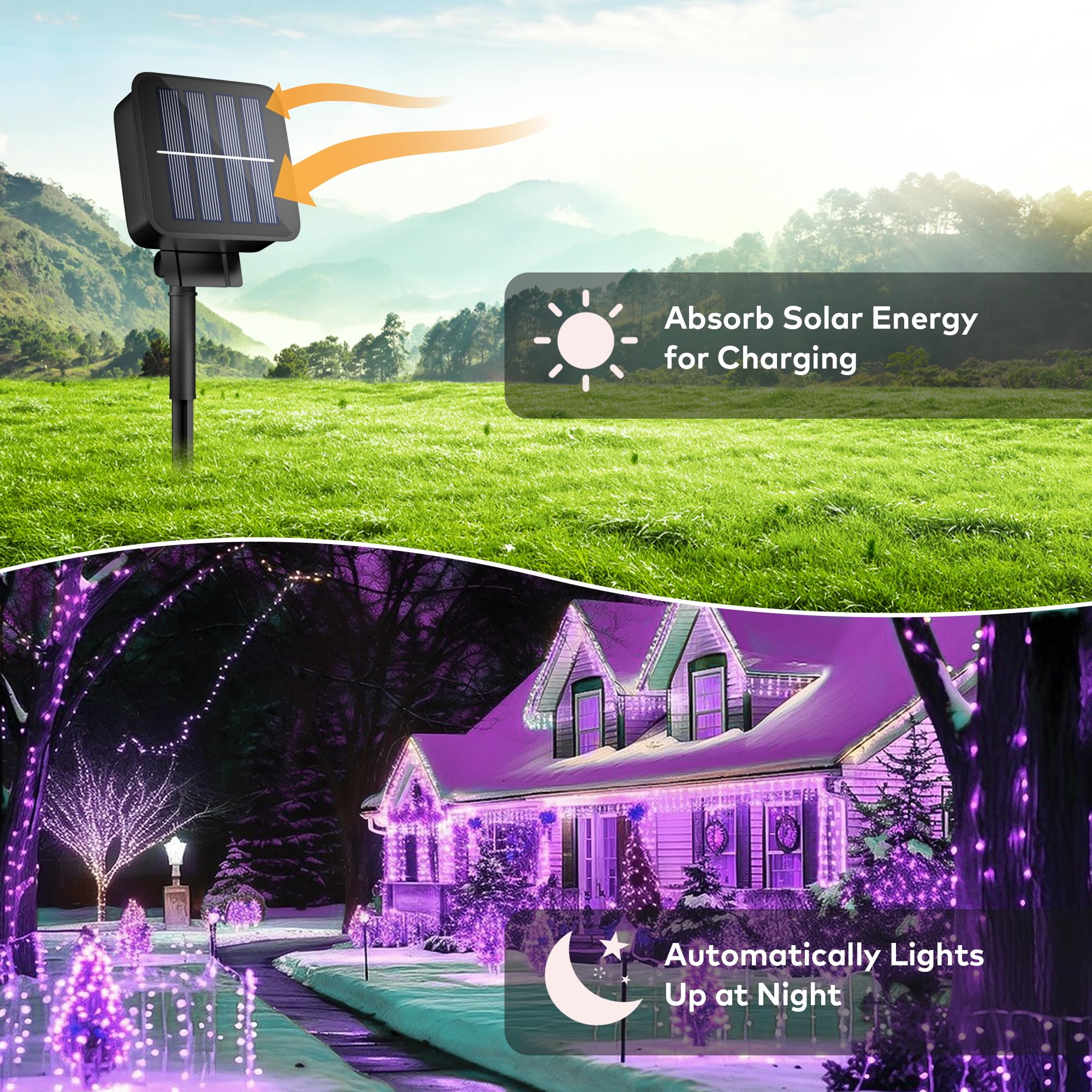 Ohlux 3 Pack Solar String Lights Outdoor, Total 99Ft 300Led Solar Powered Fairy Lights Waterproof, 8 Modes Christmas Lights For Christmas Garden Tree Wedding Patio Decor-Purple
