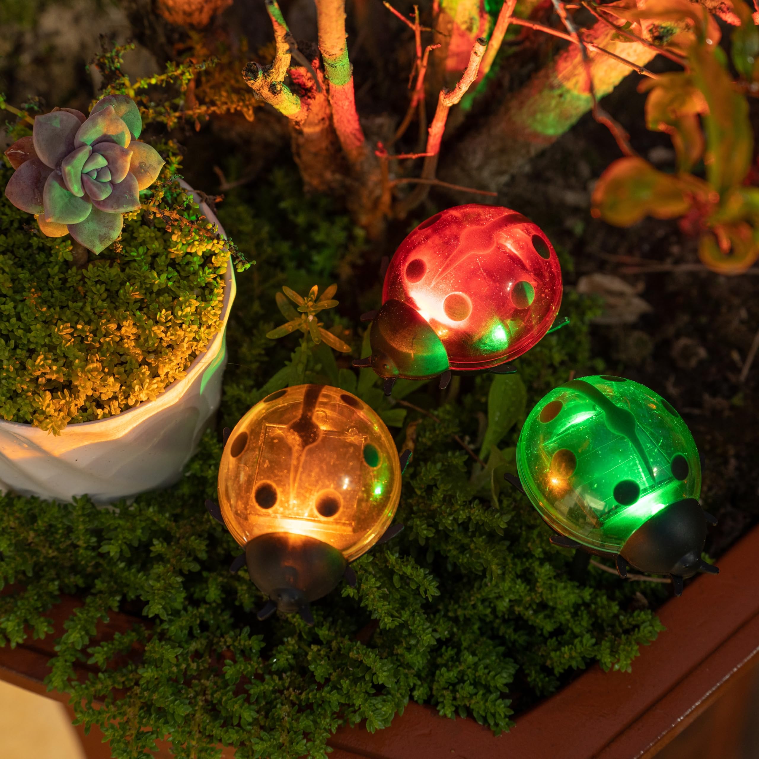 Rezpuao Solar Lights For Outside 3 Pack Solar Garden Lights Ladybird Stakes Outdoor Solar Lights For Yard Patio Decor