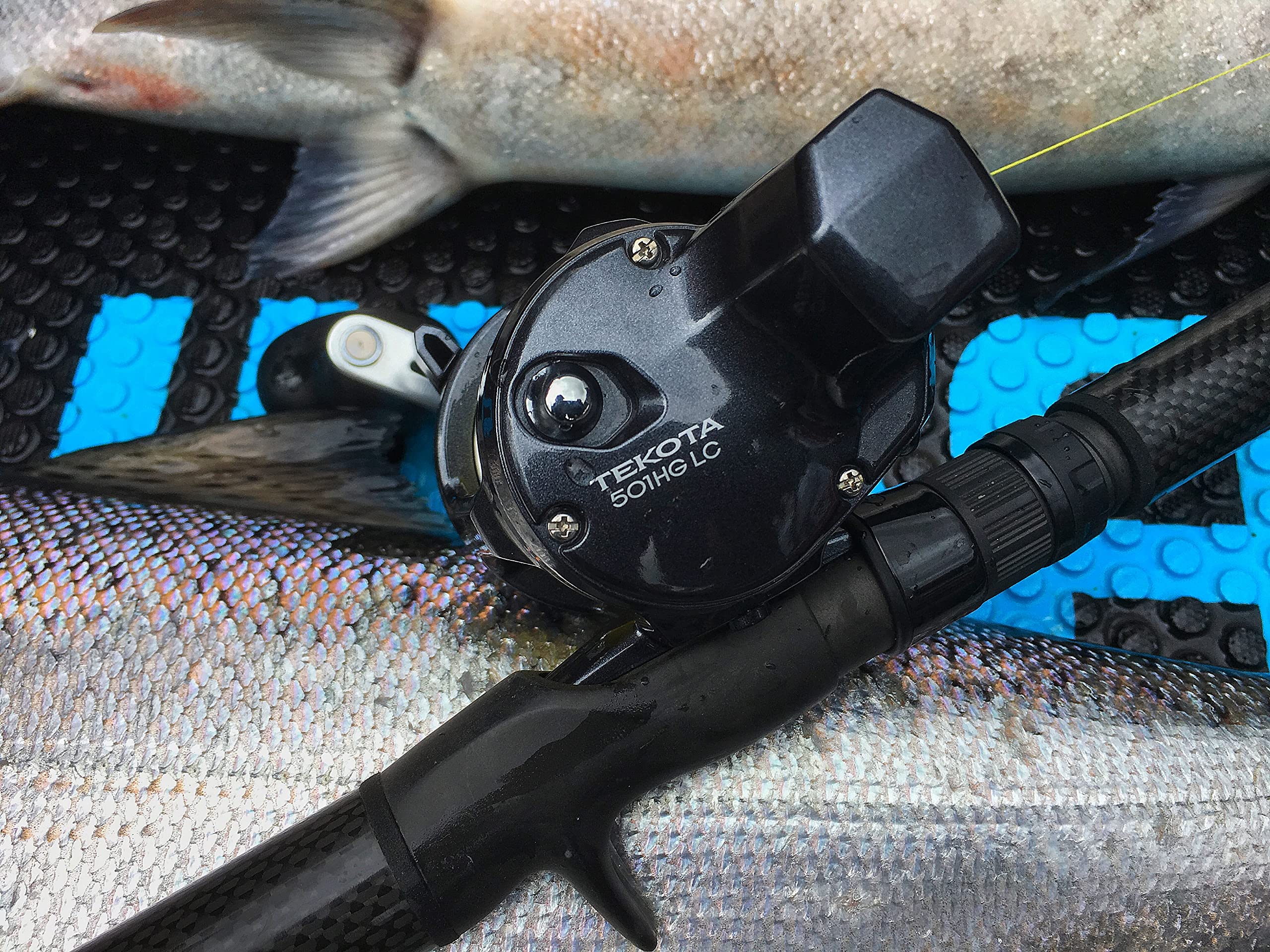Shimano Tekota A 500/600 Conventional Reels