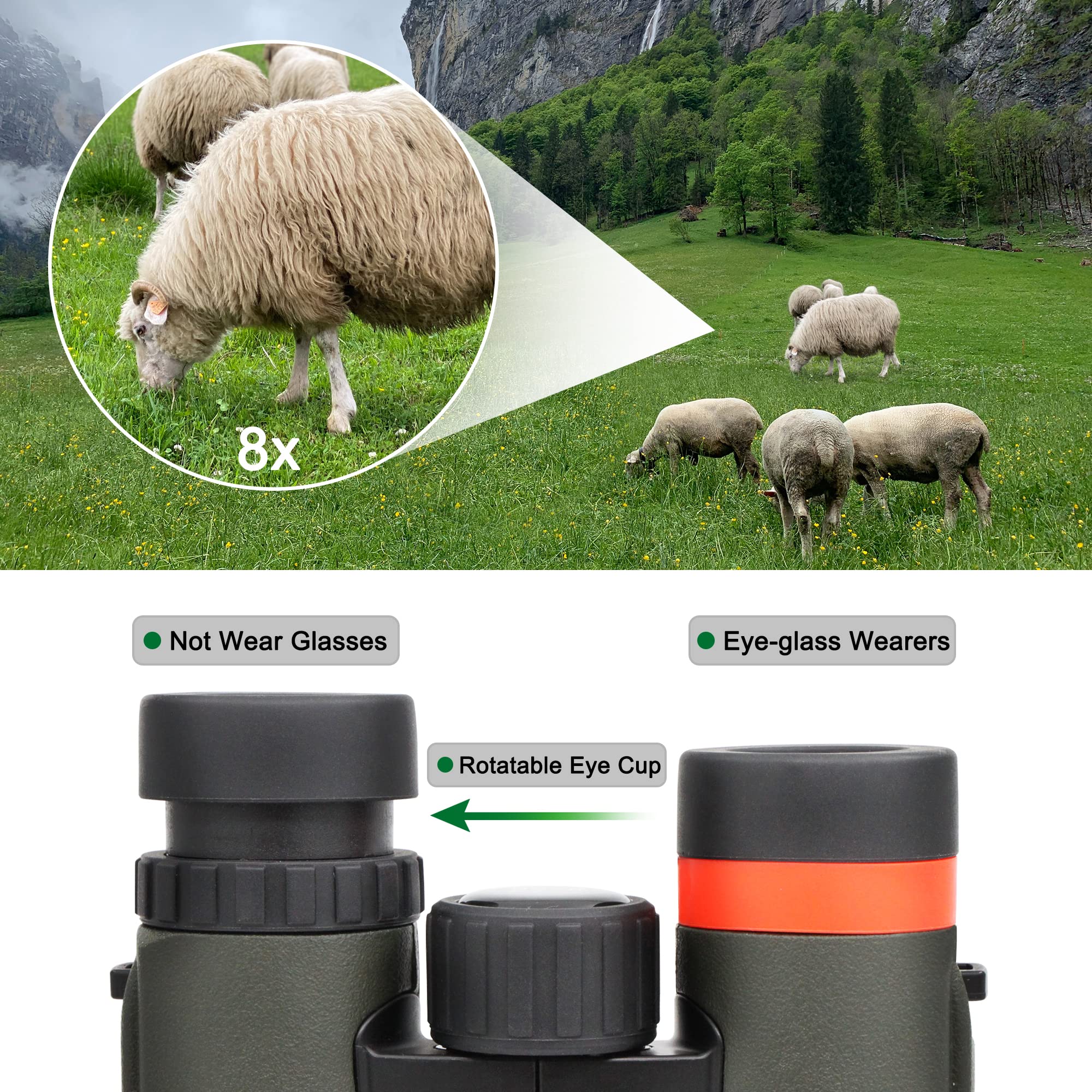 Astromania 8X26 Compact Binoculars Waterproof For Traveling, Wildlife, Camping And Sport Games, Theater And Concerts, Bird Watching