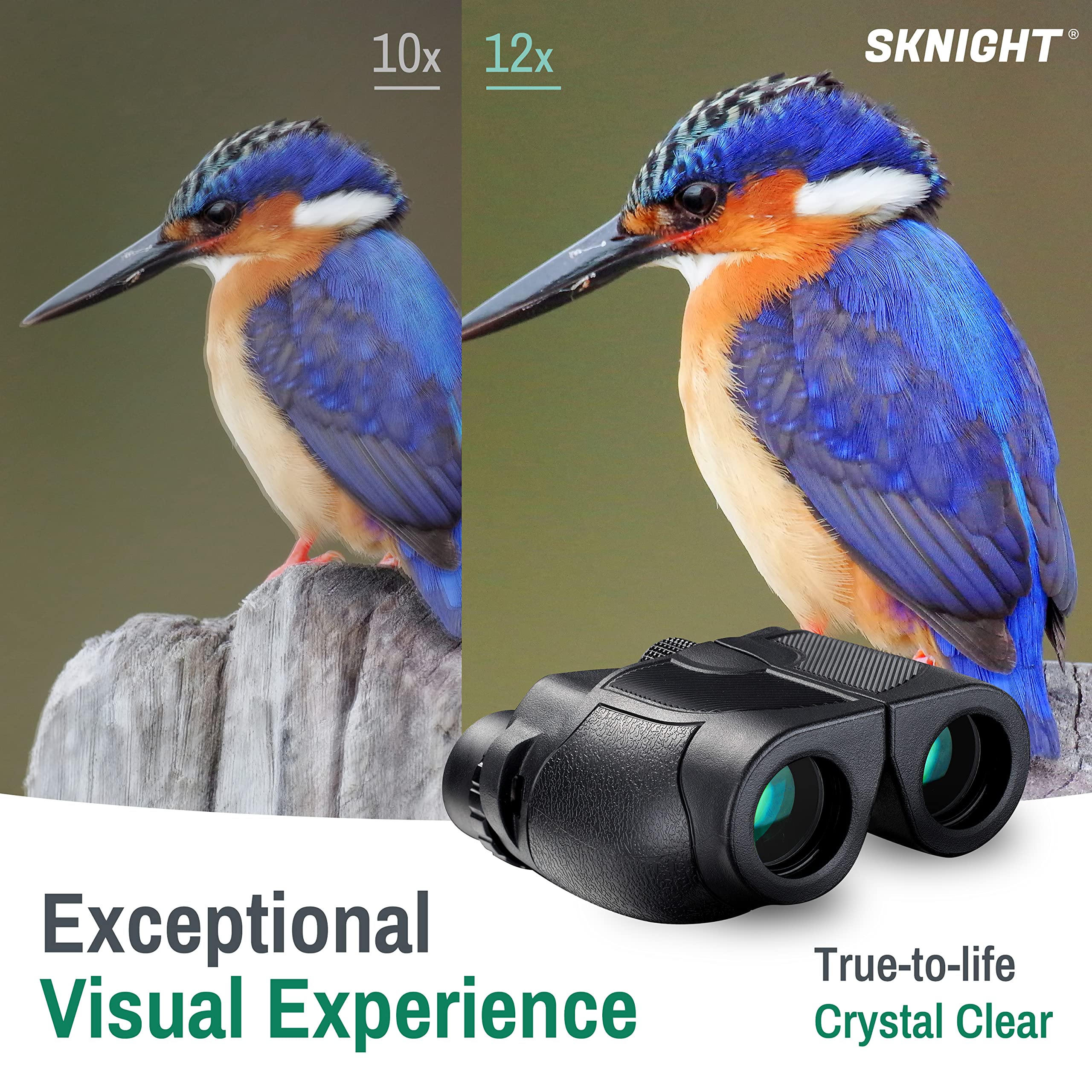 Daoneg Sknight 12X30 Compact Binoculars For Adults And Kids With Phone Adapter, Small Binoculars With Large View, Lightweight Binoculars For Travel Bird Watching Concert Sports