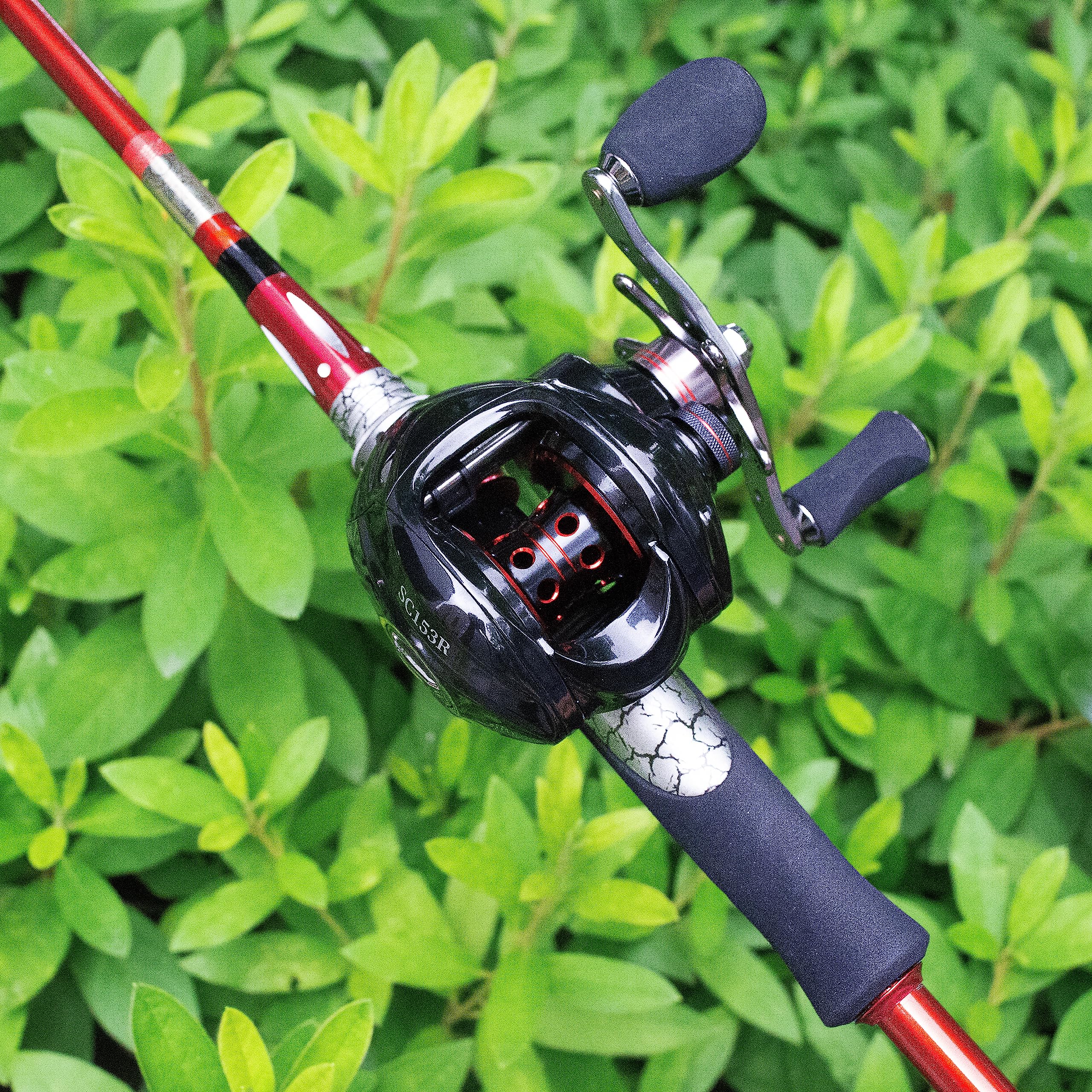 Fishdrops Baitcaster Reel Ultra-Light Baitcasting Fishing Reel, 7.0:1 Gear Ratio, 12.12Lb Drag Magnetic Brake, Smooth 11+1Bb, Freshwater & Saltwater And Affordable Low Profile Bait Caster Reel